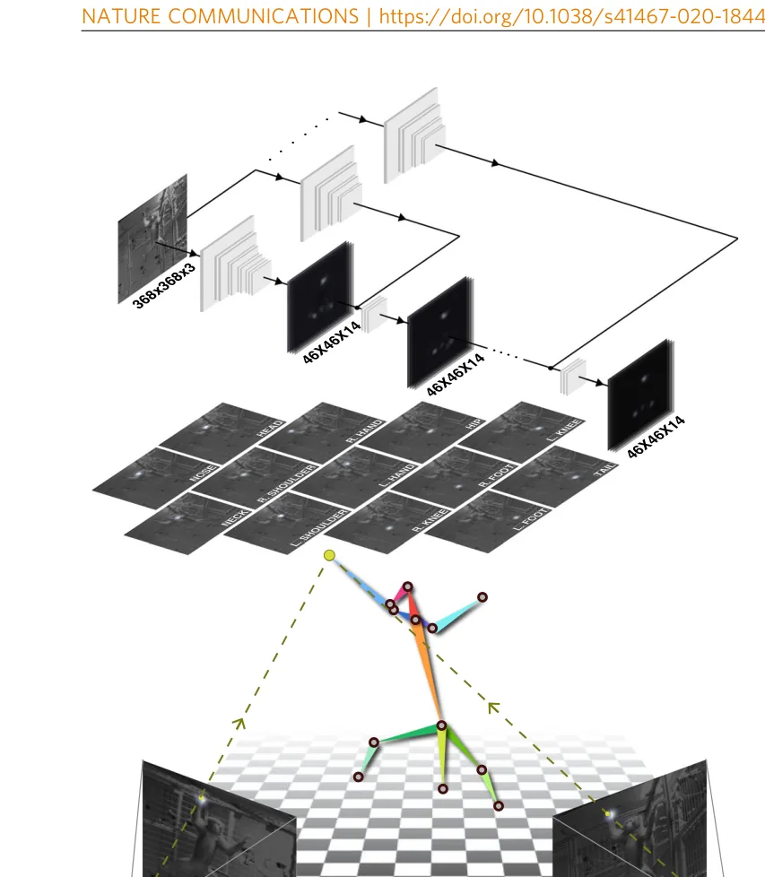 Multi-camera 3D macaque pose reconstruction
