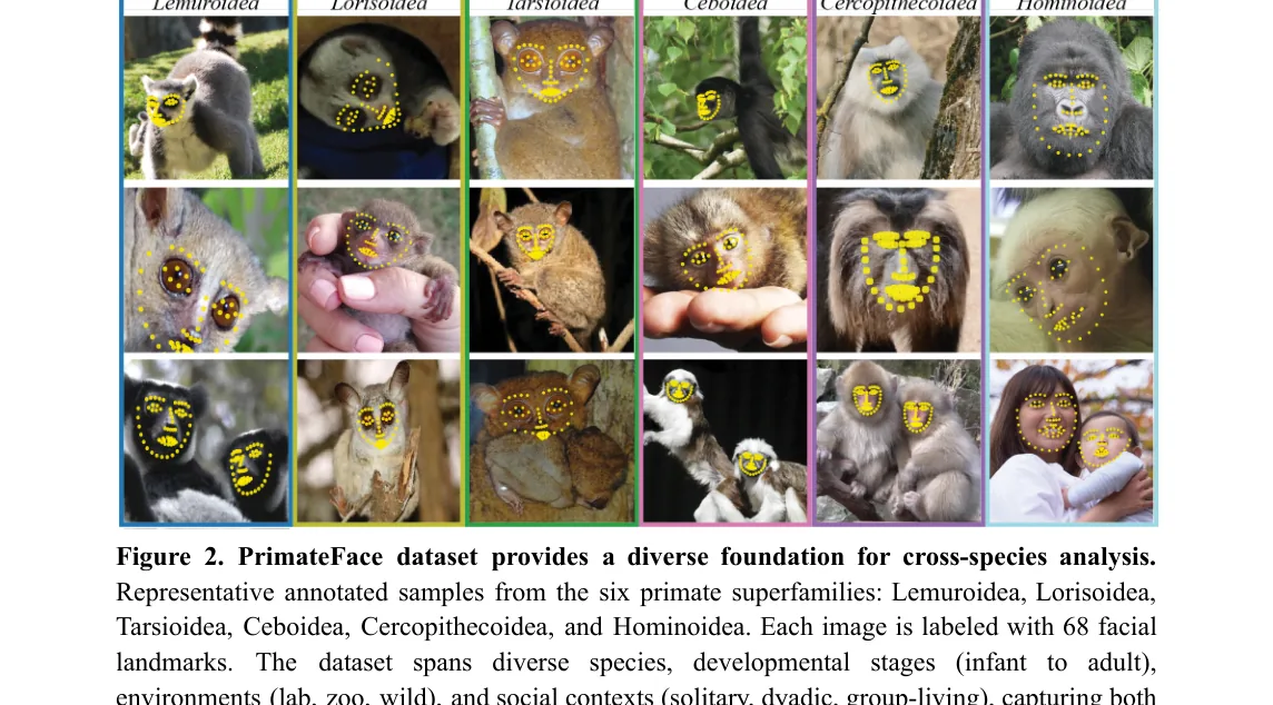 PrimateFace examples with facial landmarks across primate species